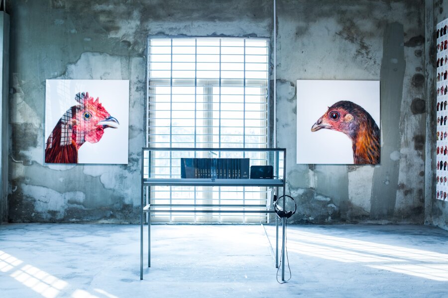Koen Vanmechelen (BE): Cosmopolitan Chicken Project. Foto Koen Vanmechelen