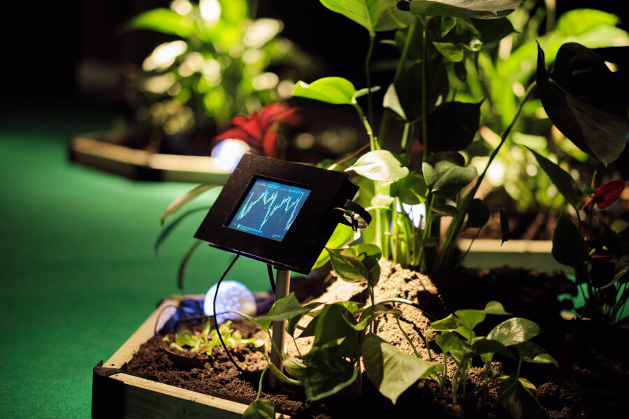 uh513: Beyond Human Perception, 2020  /  photo: Vanja Babić, Touch Me festival 2020, Zagreb