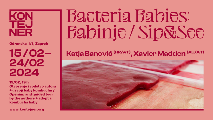 Dizajn: kuna zlatica