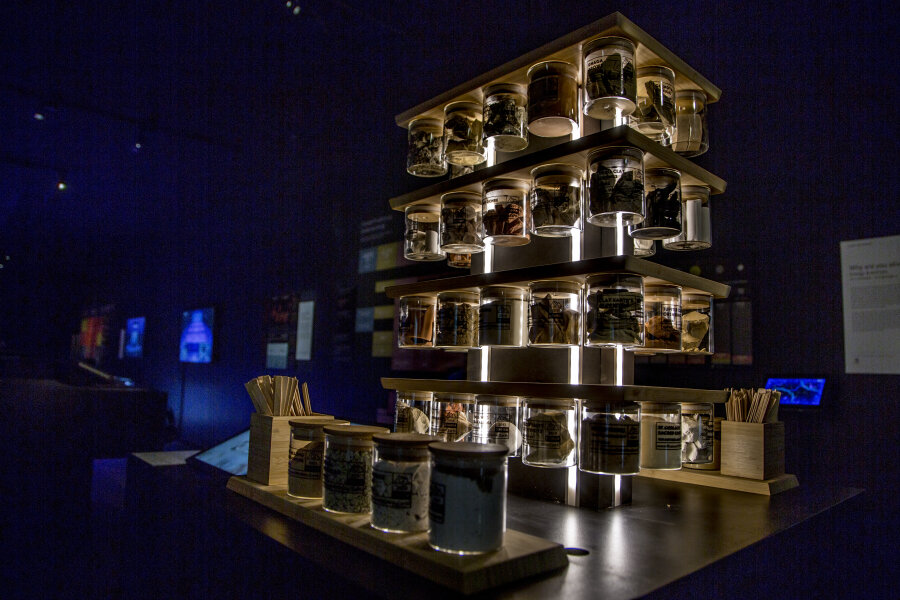 masharu: Muzej jestive zemlje, Ars Electronica, 2023.