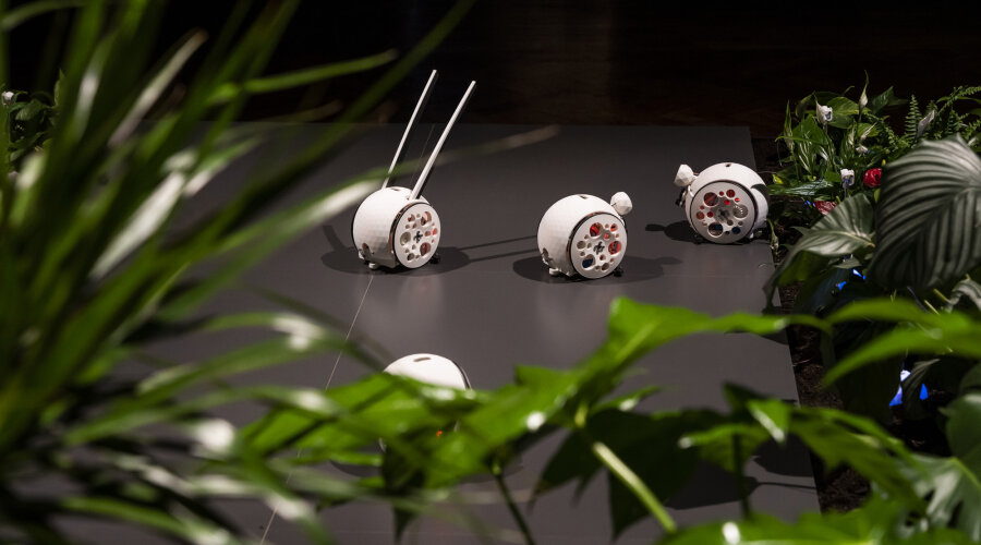 Fotografija: Sanja Bistričić Srića