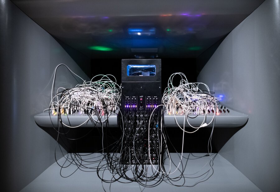 Fotografija: Ivan Buvinić