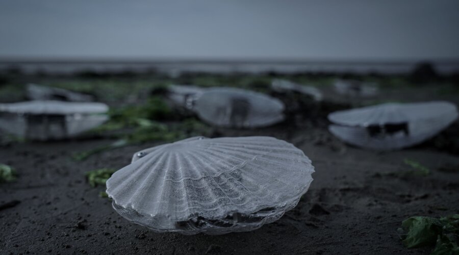 Fotografija ustupljena ljubaznošću umjetnika
