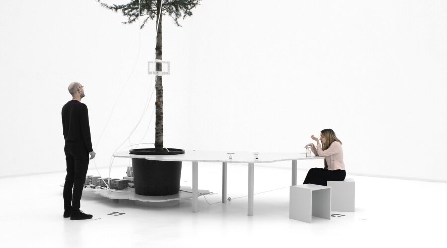 One Tree ID – Himalajski cedar, instalacija, Kunsthalle Rostock, 2019.
© Agnes Meyer-Brandis